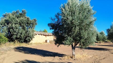 Foto 5 de Finca rústica en venda a Cretas, Teruel