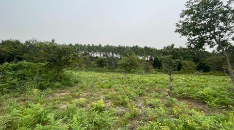 Terreno amplio de 65.000 m2 es en su gran mayoria monte., immagine 5