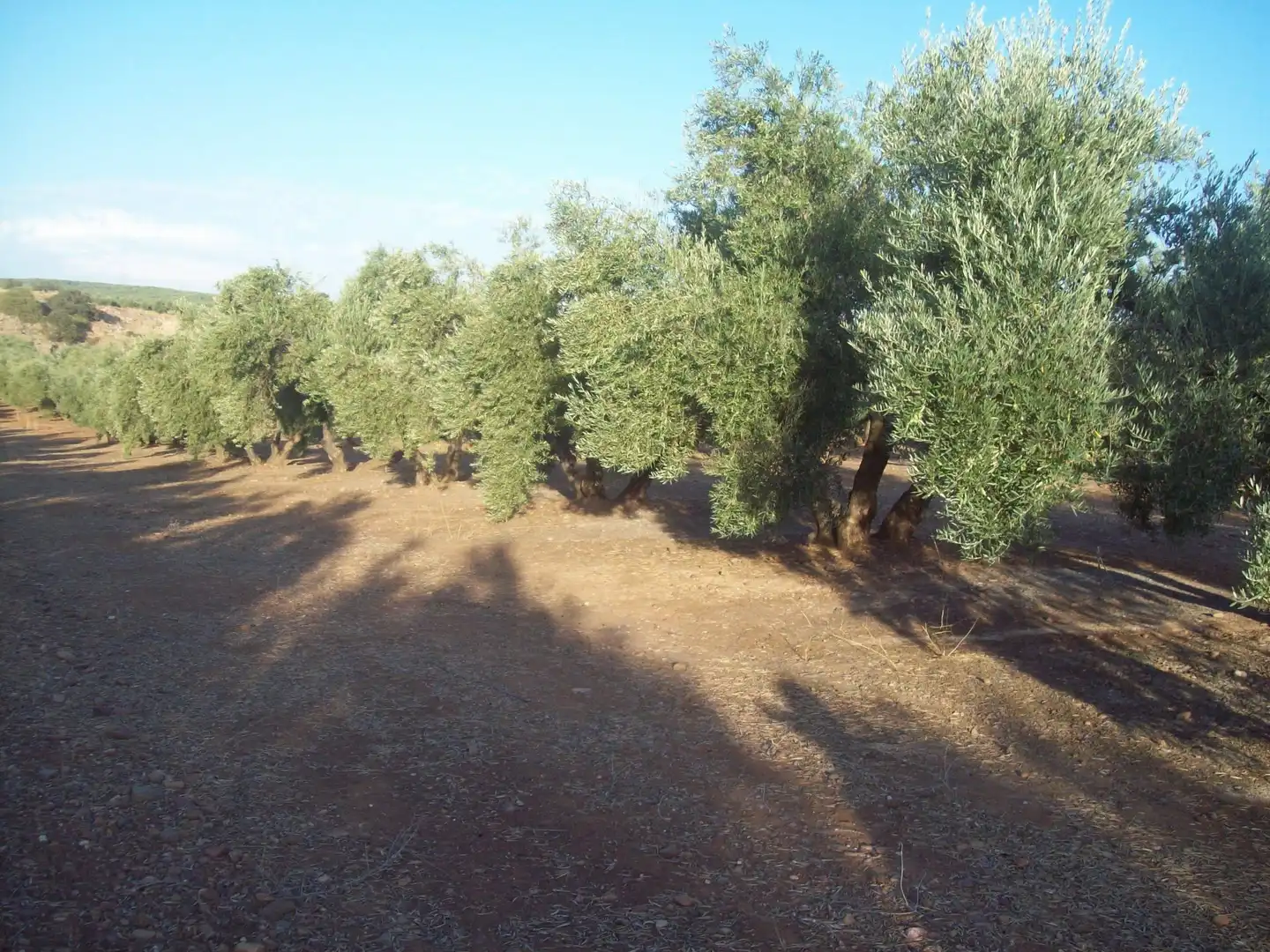 Terreni e lotti in vendita a Villanueva de la Reina, imagen 2