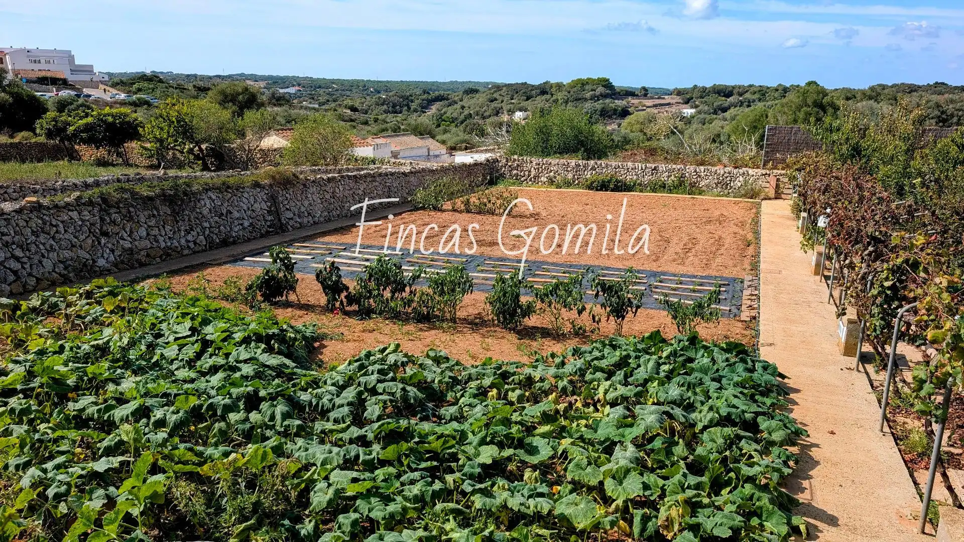 Country homes for sale in Alaior  with Air Conditioner, Heating and Swimming Pool