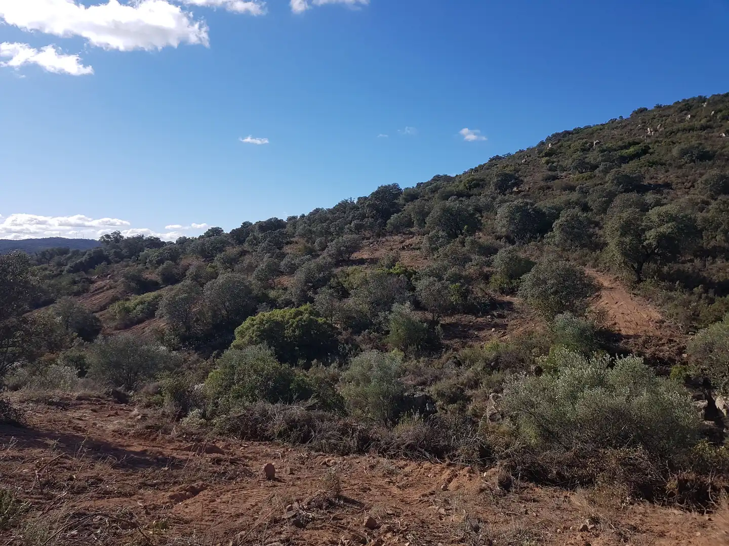 Residential for sale in El Ronquillo