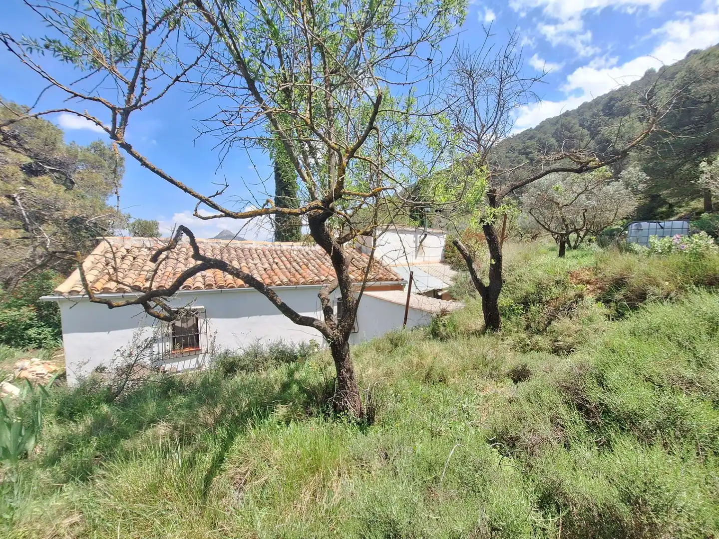 Finca rústica en venda en Alcoy / Alcoi amb Traster i Moblat
