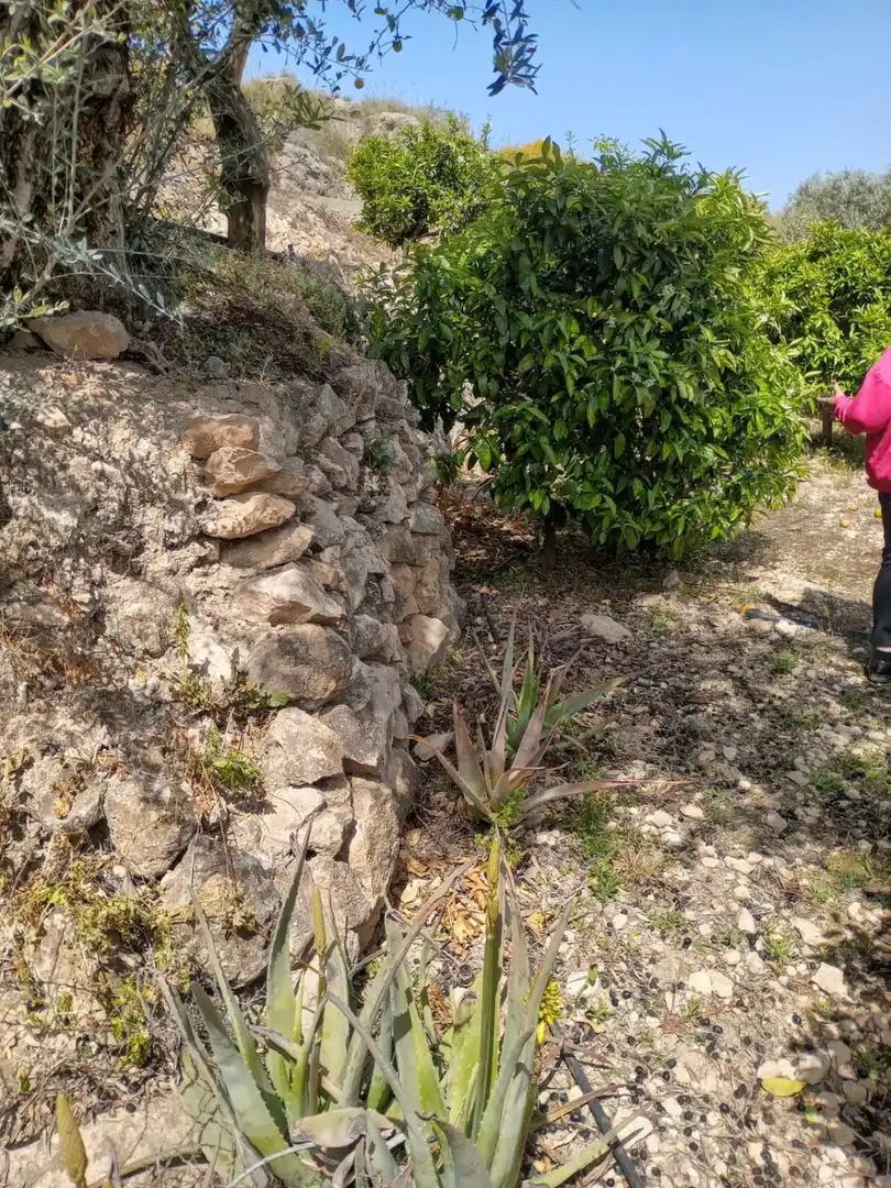 Terreni e lotti in vendita a El Valle, imagen 24
