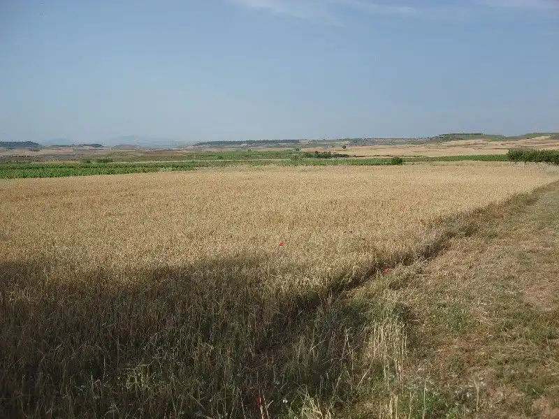Terrenys i solars en venda a Alberite, imagen 5