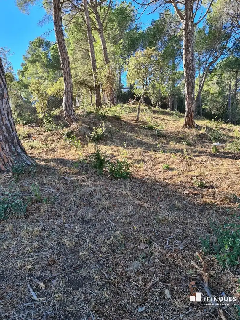 Lands and plots for sale in El Racó - Sant Feliu del Racó, imagen 7