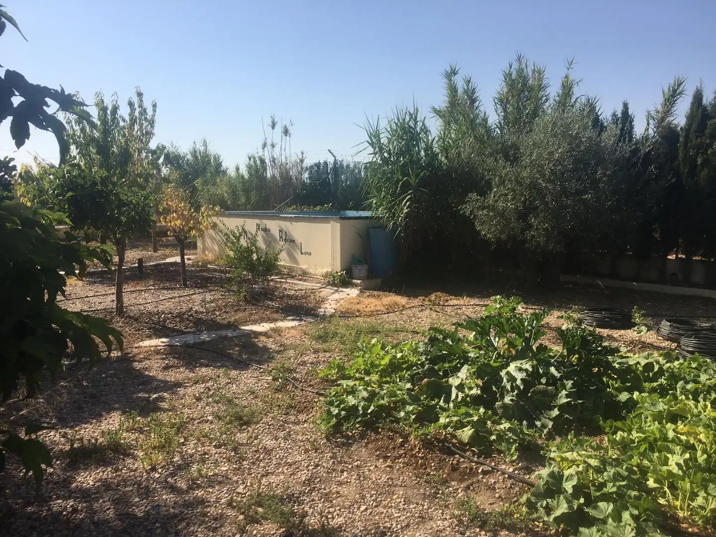 Terrenys i solars en venda a La Villa de Don Fadrique, imagen 3