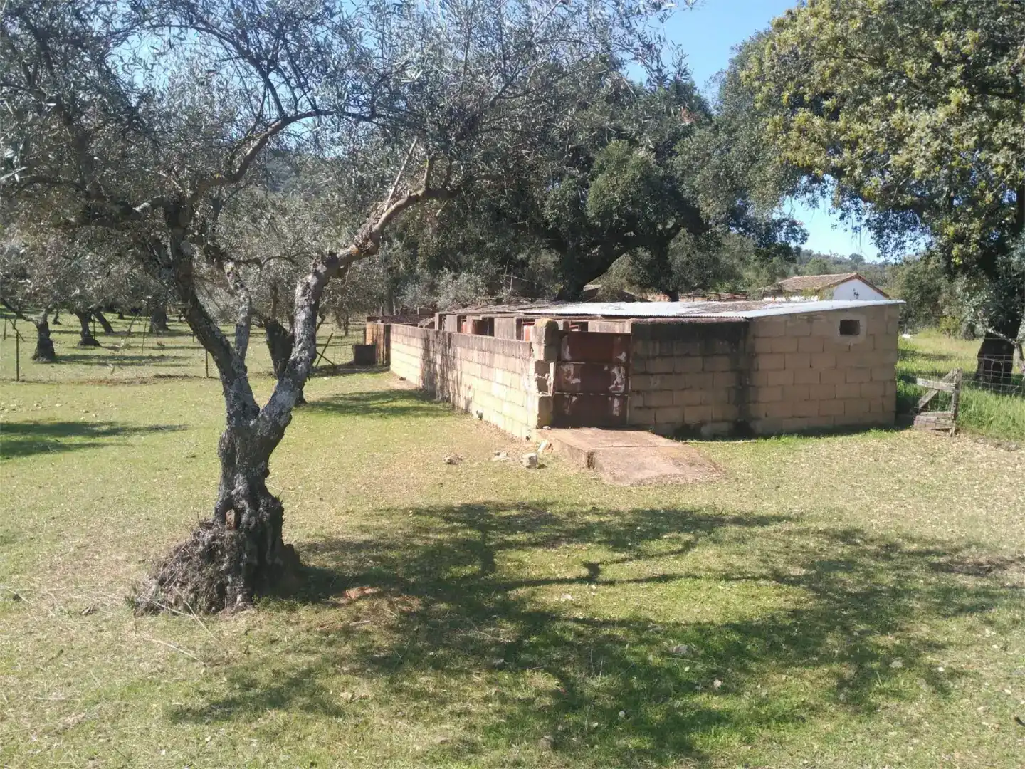 Vista exterior de Finca rústica en venda en La Codosera amb Piscina
