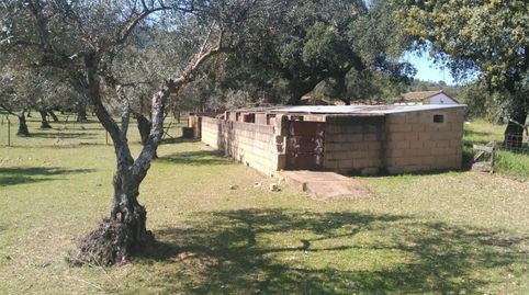 Foto 4 de Finca rústica en venda a Camino de Bacoco a la Cantera, 136, La Codosera, Badajoz
