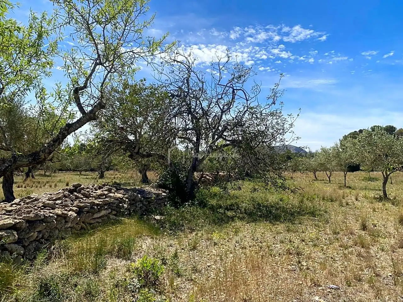 Terreno rustico in vendita a Mas de Baralluga, imagen 21