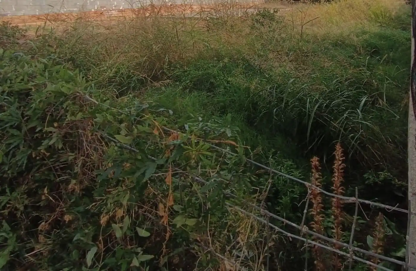 Residential land for sale in La Franquesa - Oasis Park, imagen 2
