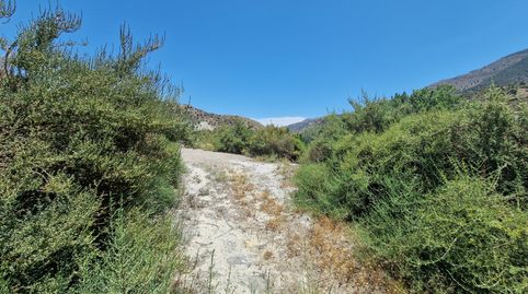 Terreno 3500 m² en Canjayar, Paraje Río Chico, vallado con agua de acequia y muy buen acceso, immagine 4