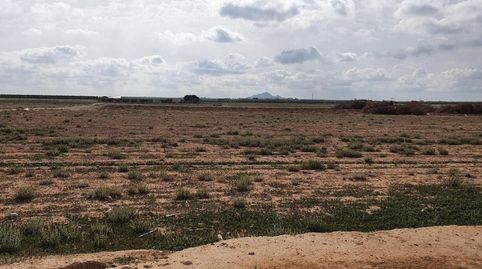 Foto 5 de Finca rústica en venta en Los Martinez del Puerto, Murcia Capital