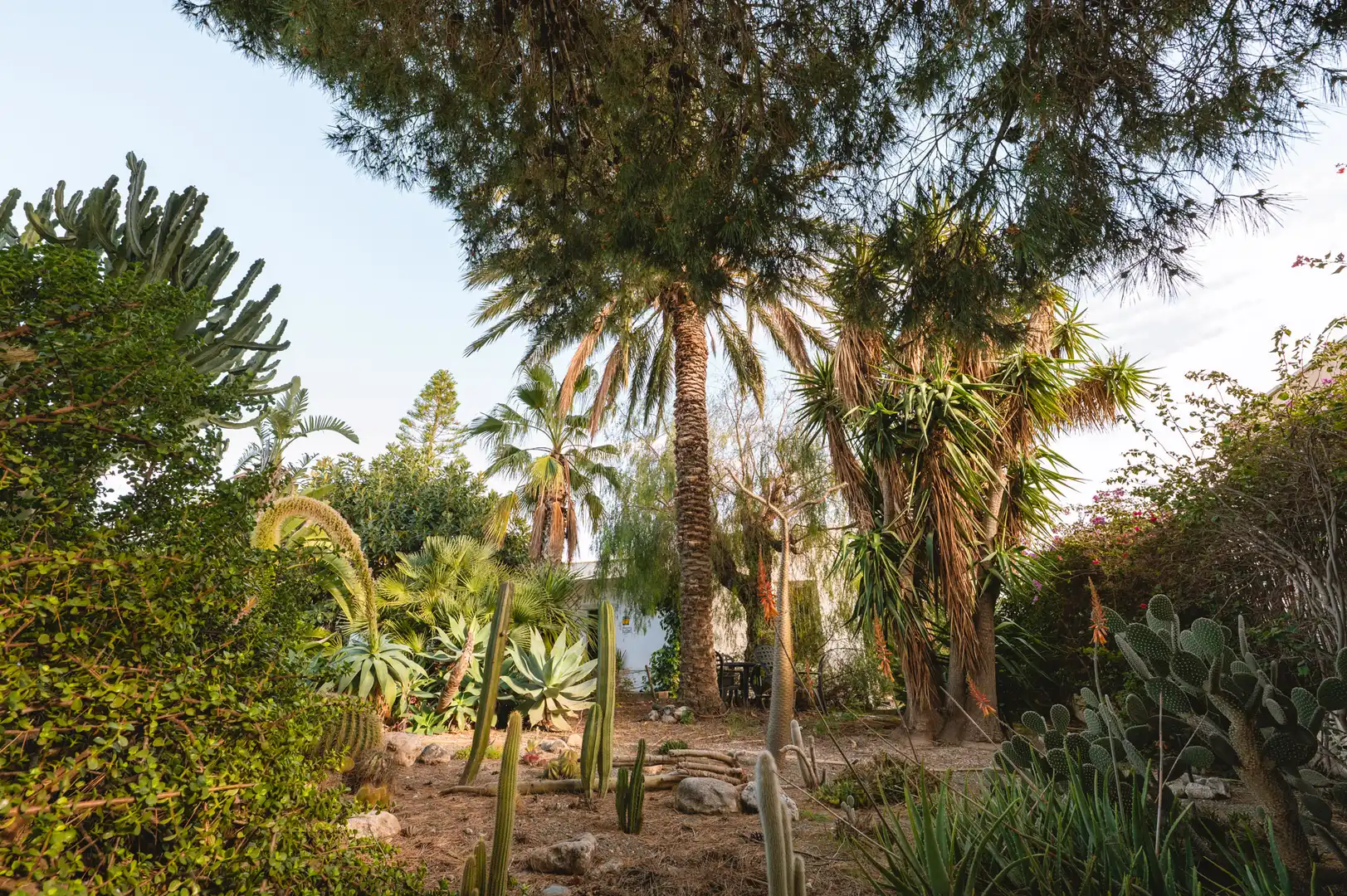 Casa o chalet en venta en Retamar