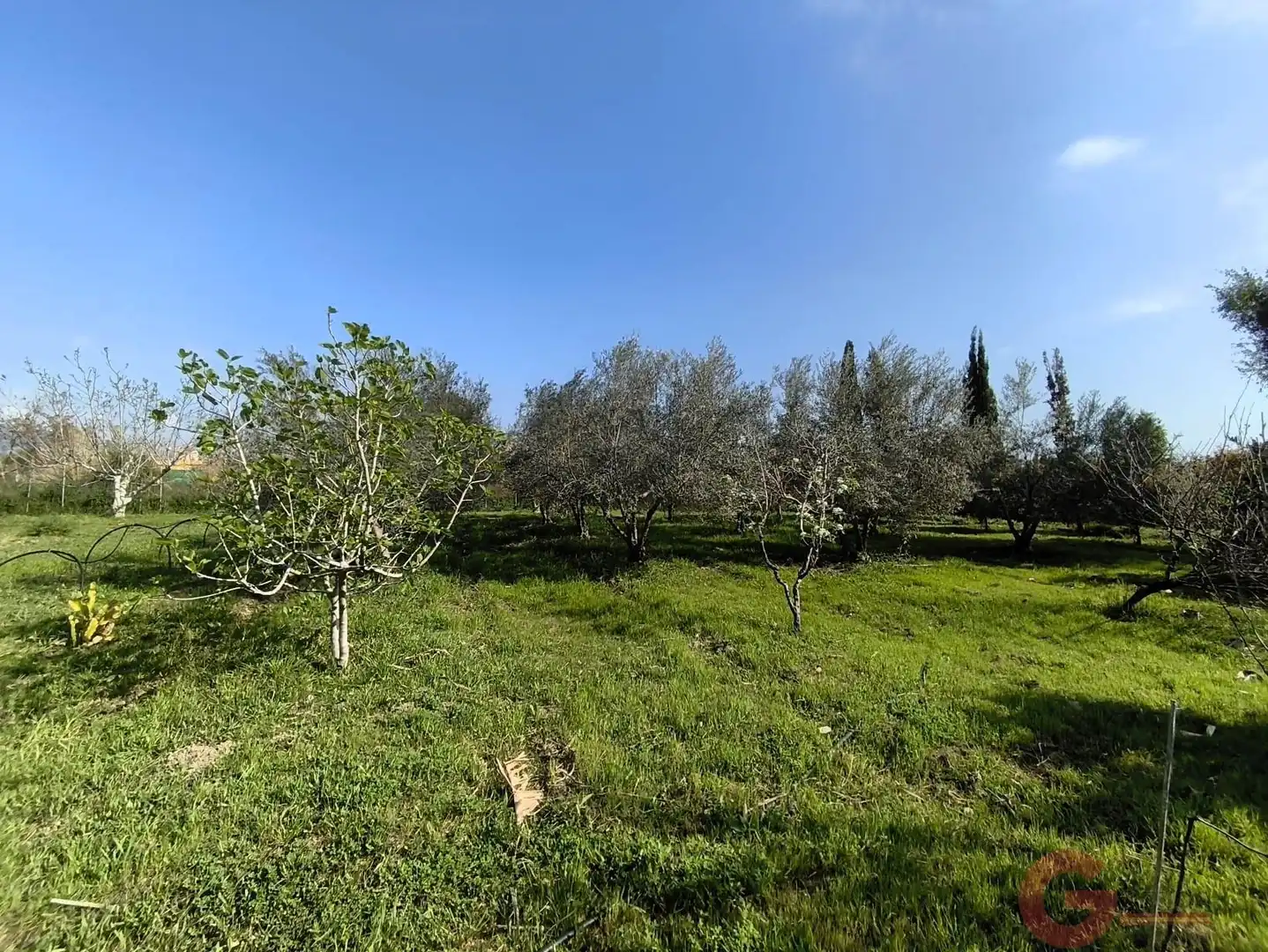 Finca rústica en venda en Motril amb Terrassa i Traster