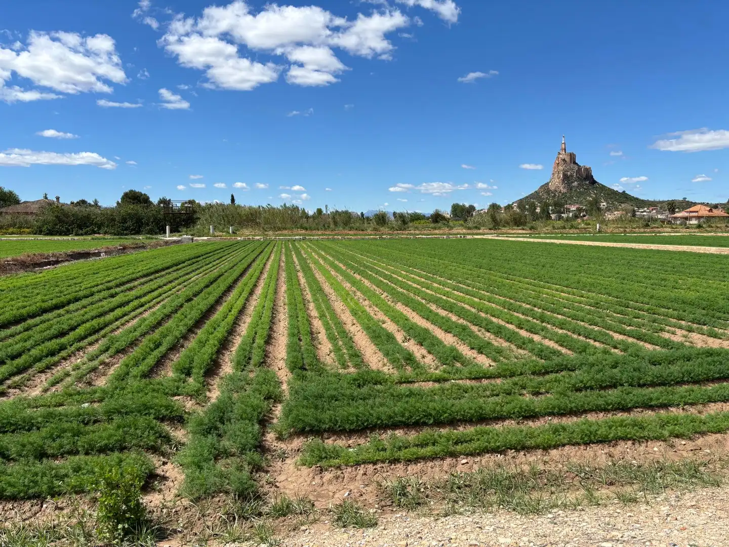 Jardín de Residencial en venta en Murcia
