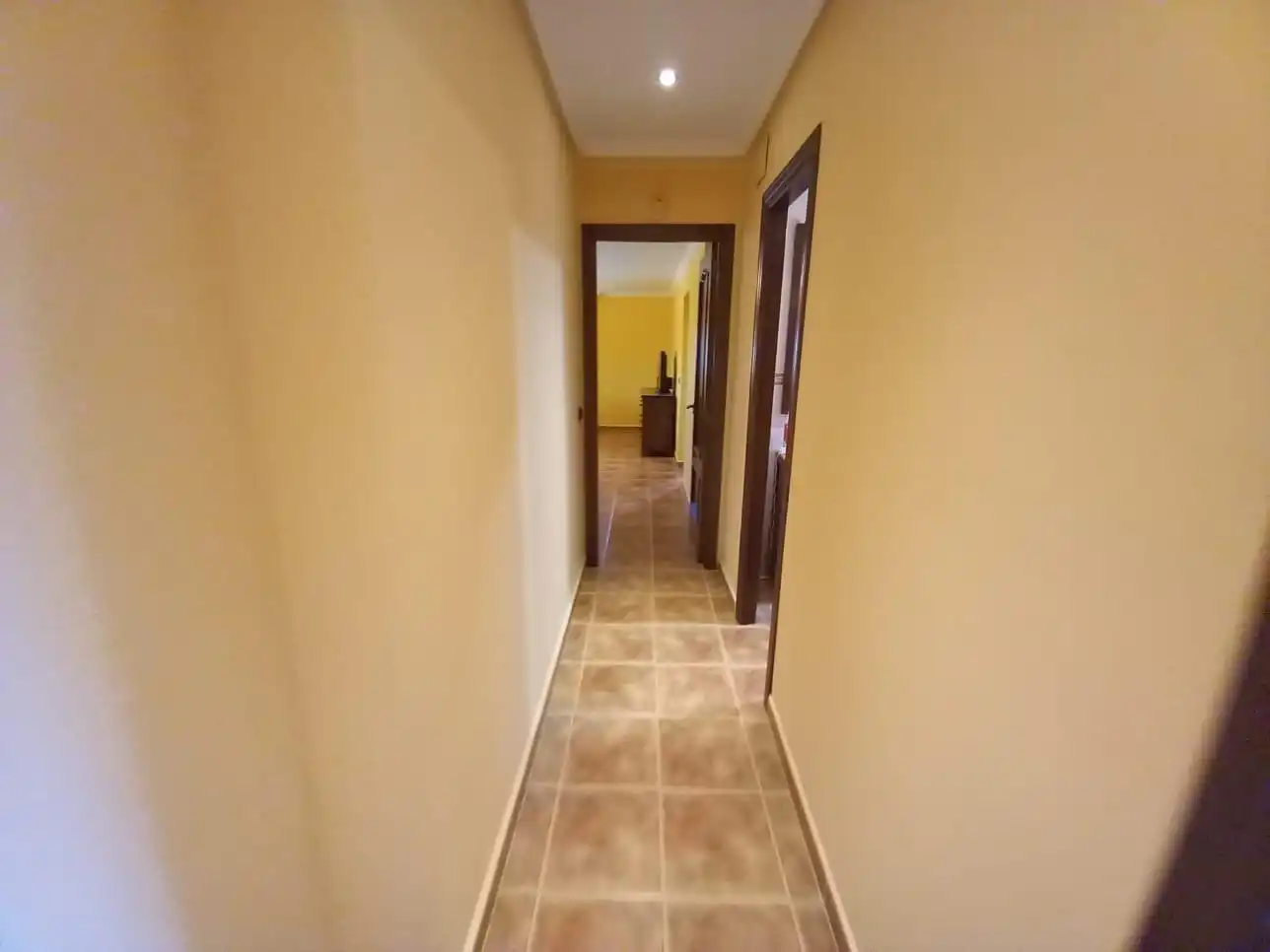 Houses for sale in Camino ACEBUCHE DEL, Cañada del Fenollar