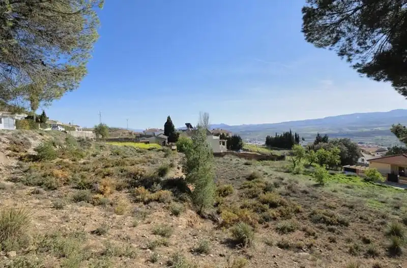 Terreni e lotti in vendita a Padul, imagen 43