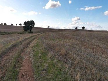 Terreno rustico in vendita a Arcos de la Frontera