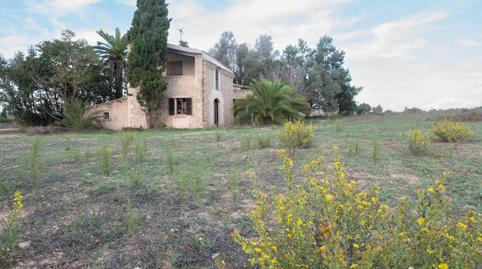 Foto 3 de Finca rústica de lloguer a Sineu, Illes Balears