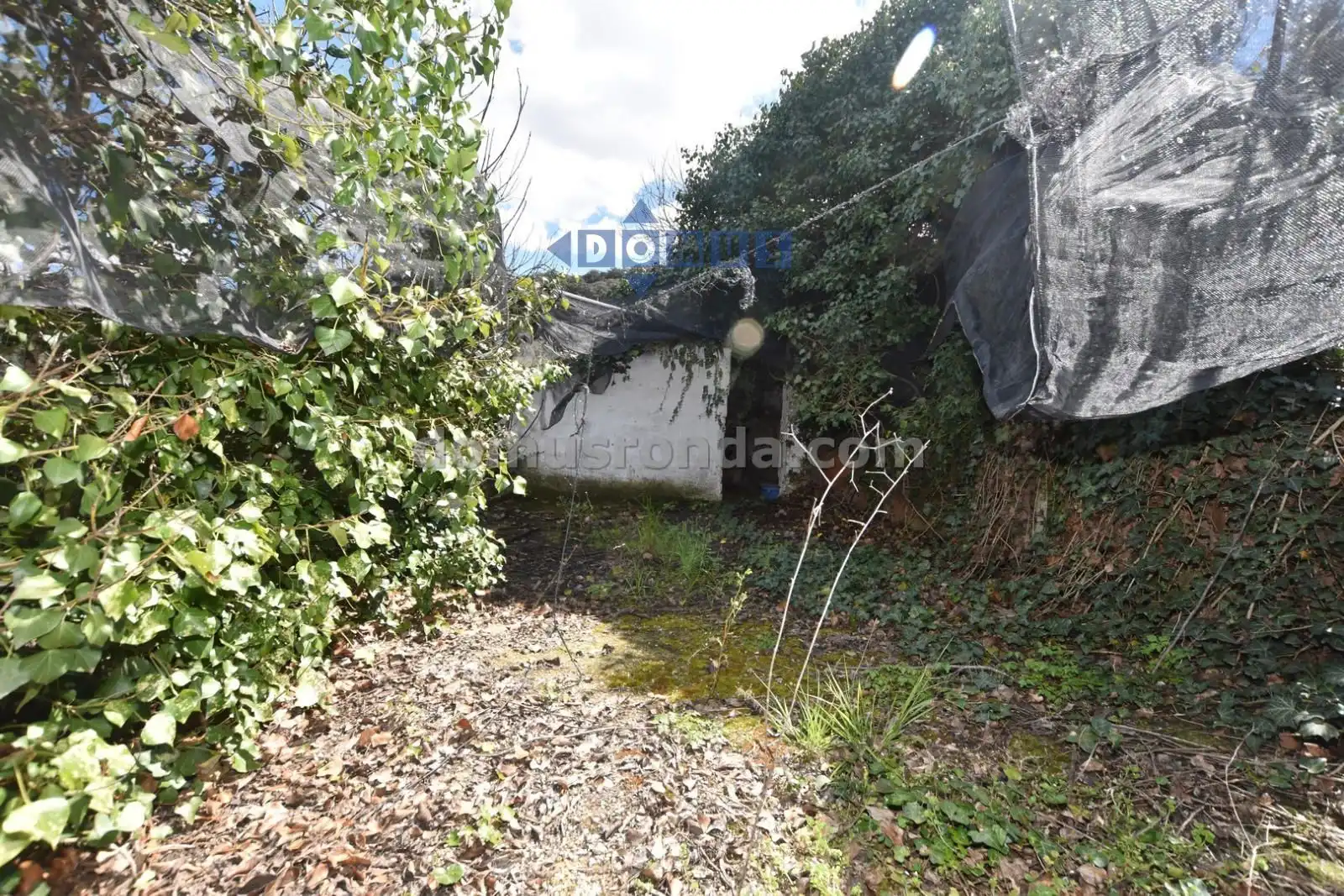 Casa rústica amb piscina en venda a Partidas Norte, imagen 16