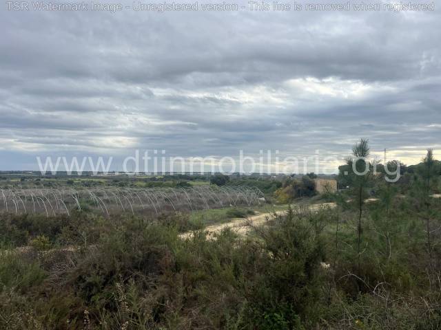 Terreno residencial en Venta en De Las Verillas en Bonares
