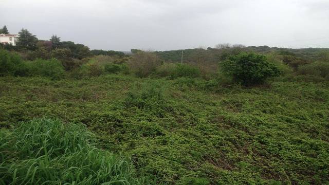 Terreno residencial en Venta en El Higuerón