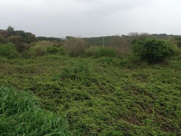 Terreno residenziale in vendita a Periurbano Oeste - Sierra