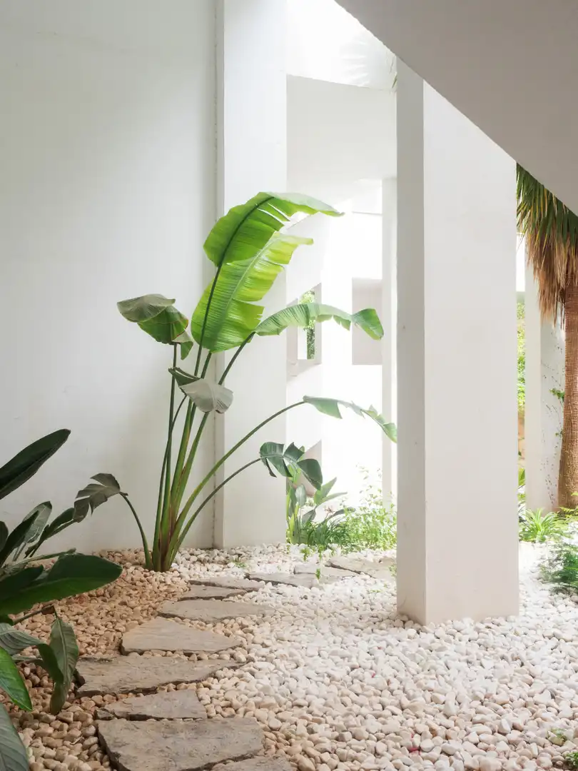 Jardín de Apartamento en venta en Calvià con Aire acondicionado, Terraza y Piscina