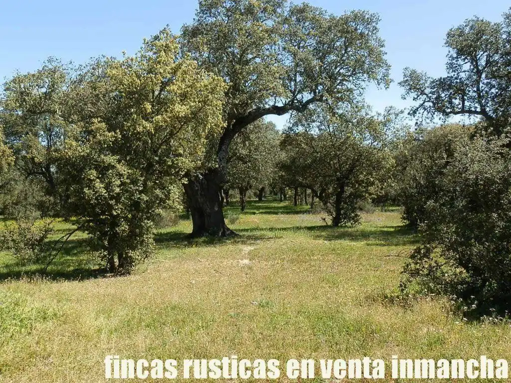 Terreno rustico in vendita a Ciudad Rodrigo, imagen 20