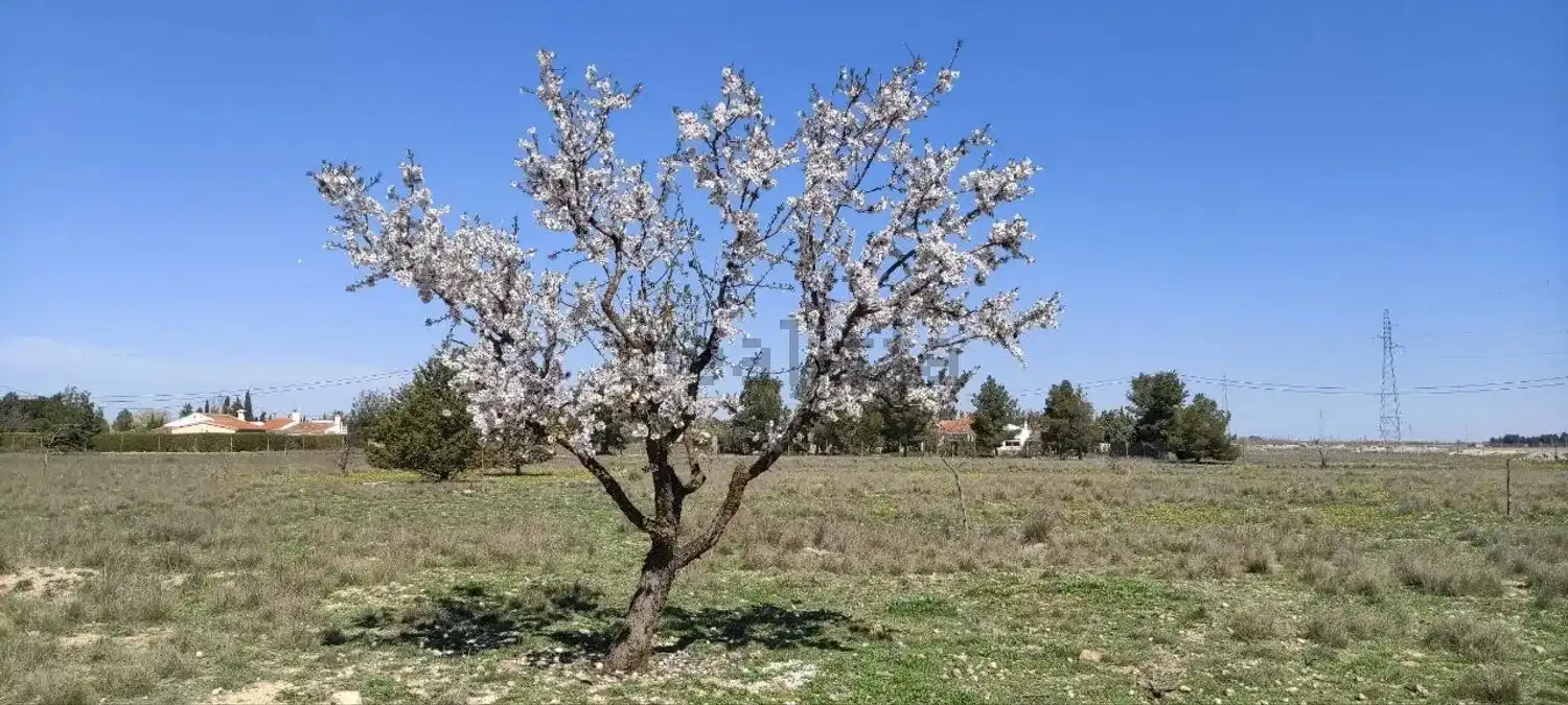 Terreno rustico in vendita a Pedanías - Extrarradio