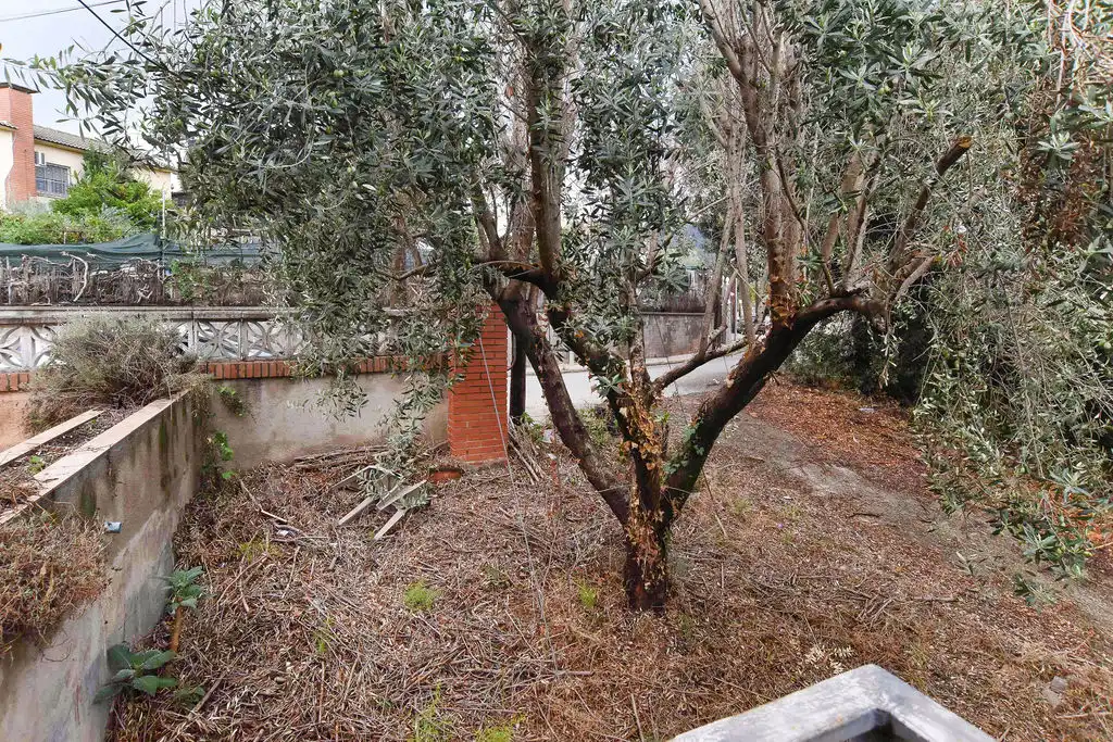 Detached house for sale in C/ Can Ribas, imagen 25