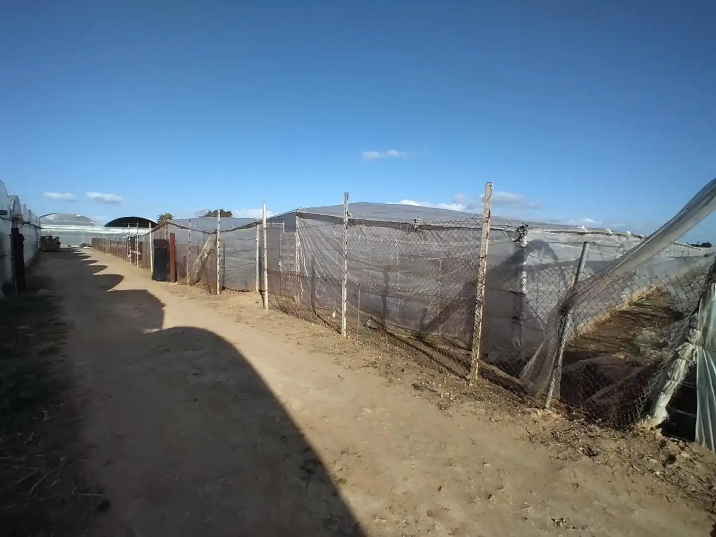 Lands and plots for sale in La Jara, imagen 3