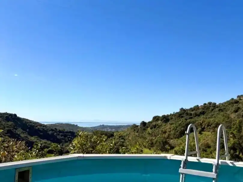 Piscina de Finca rústica en venta en Altos de Estepona