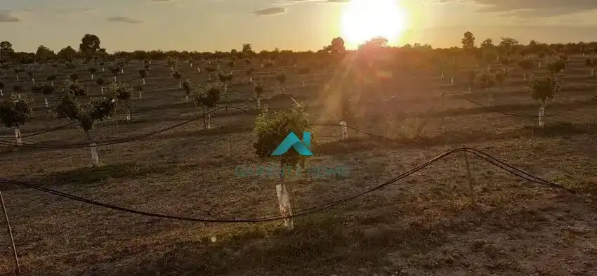 Residential land for sale in Les Borges Blanques, imagen 4