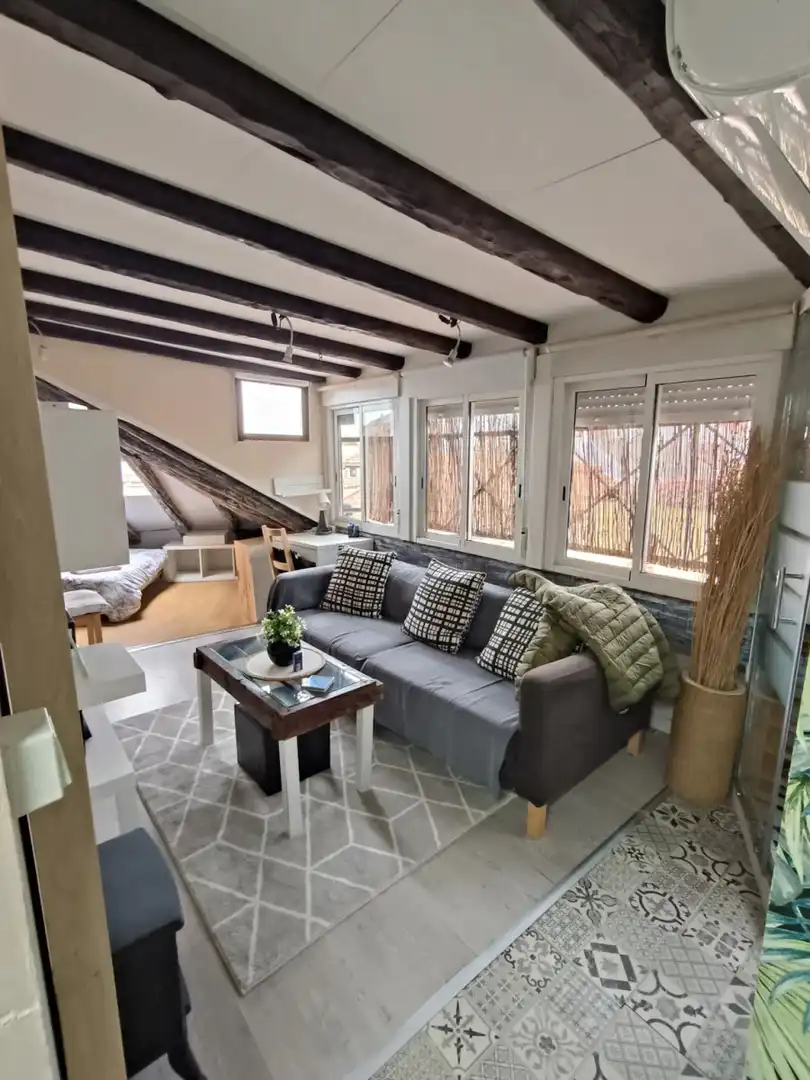 Sala de estar de Piso de alquiler en Centro