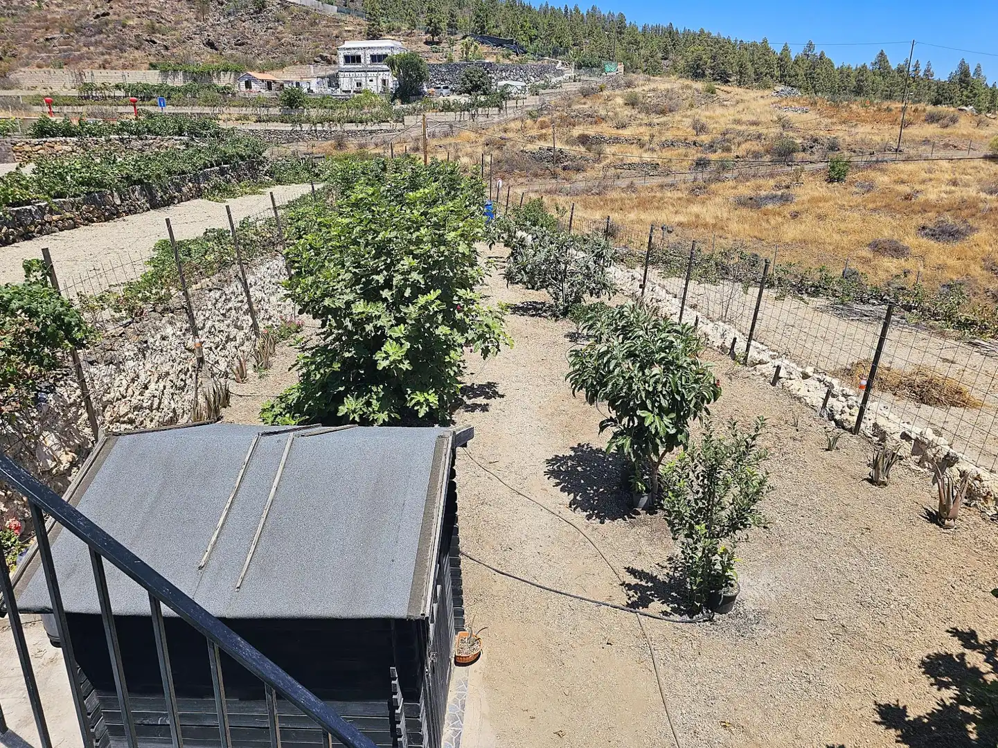 Finca rústica en venda en Granadilla de Abona