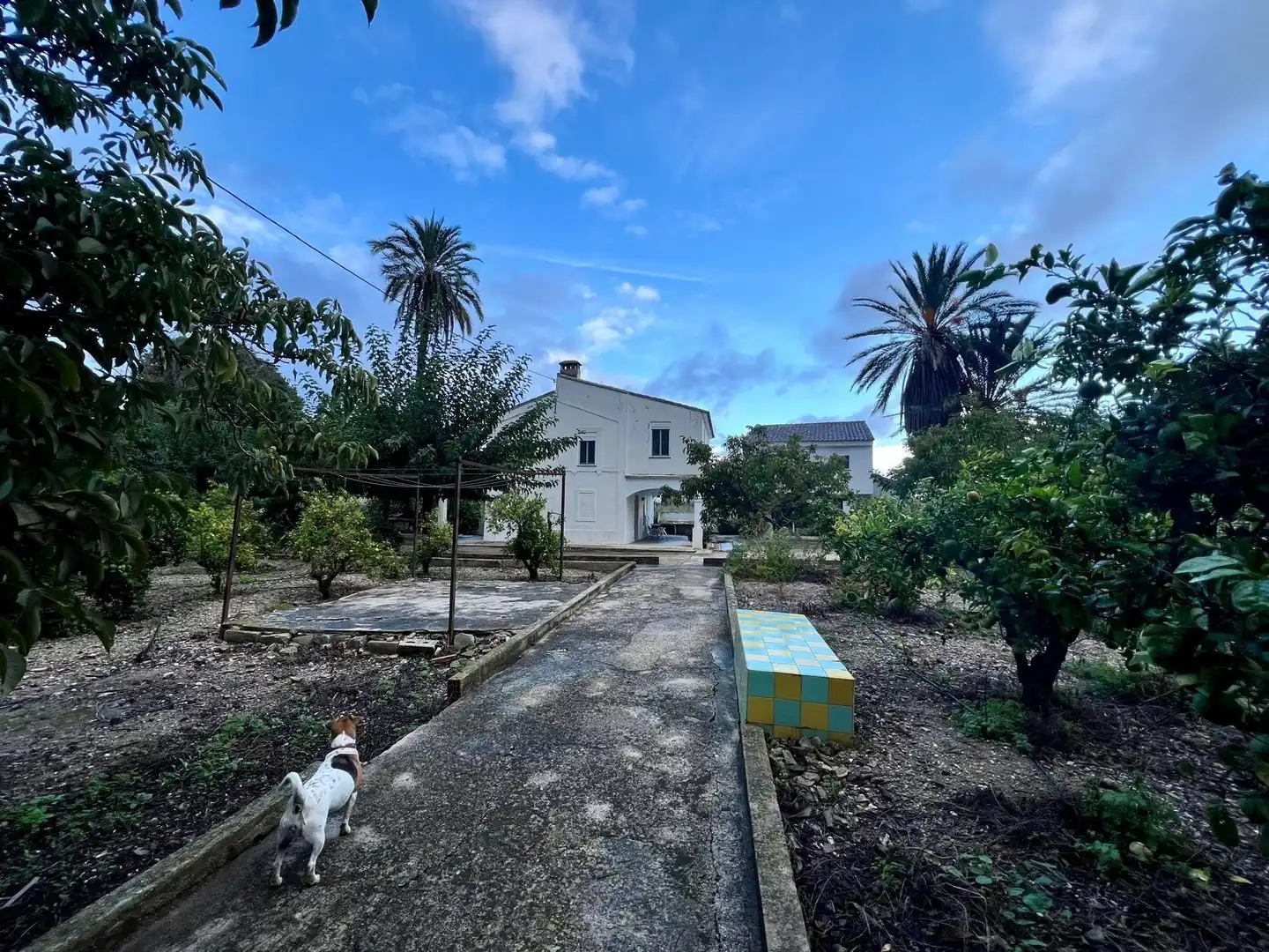 Maison avec piscine à vendre à Pego, imagen 62