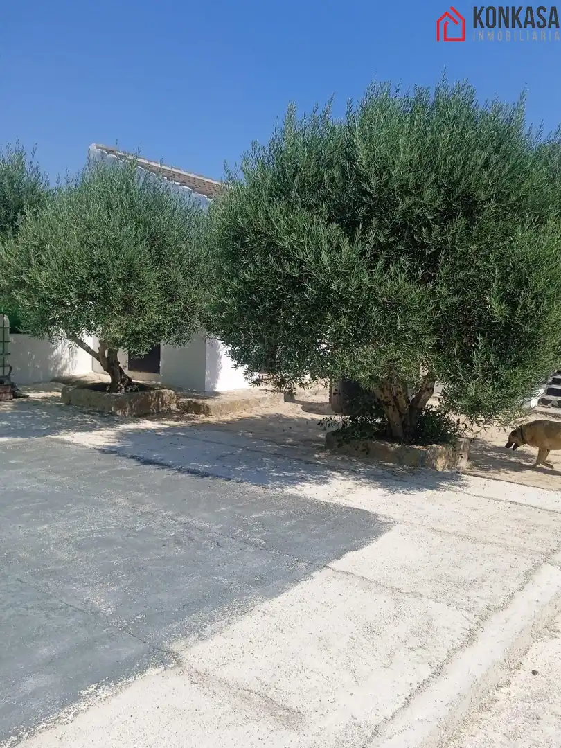 Casa en venda a Arcos de la Frontera, imagen 24