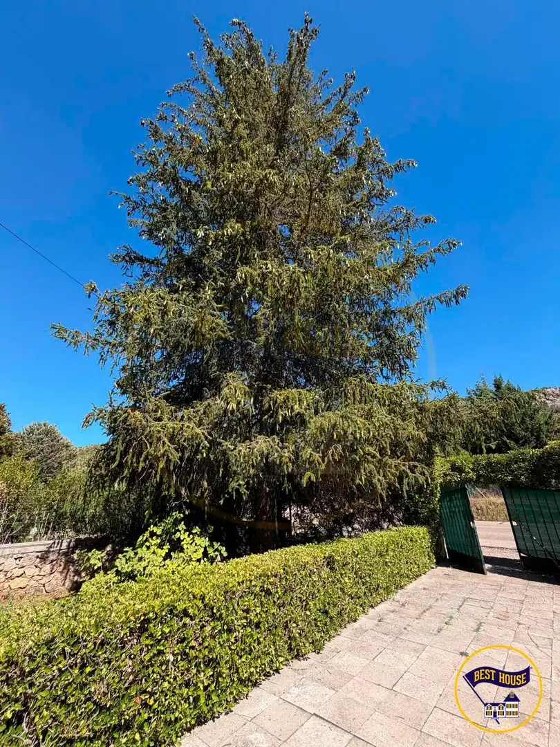 Jardí de Finca rústica en venda en Palomera amb Terrassa, Traster i Piscina