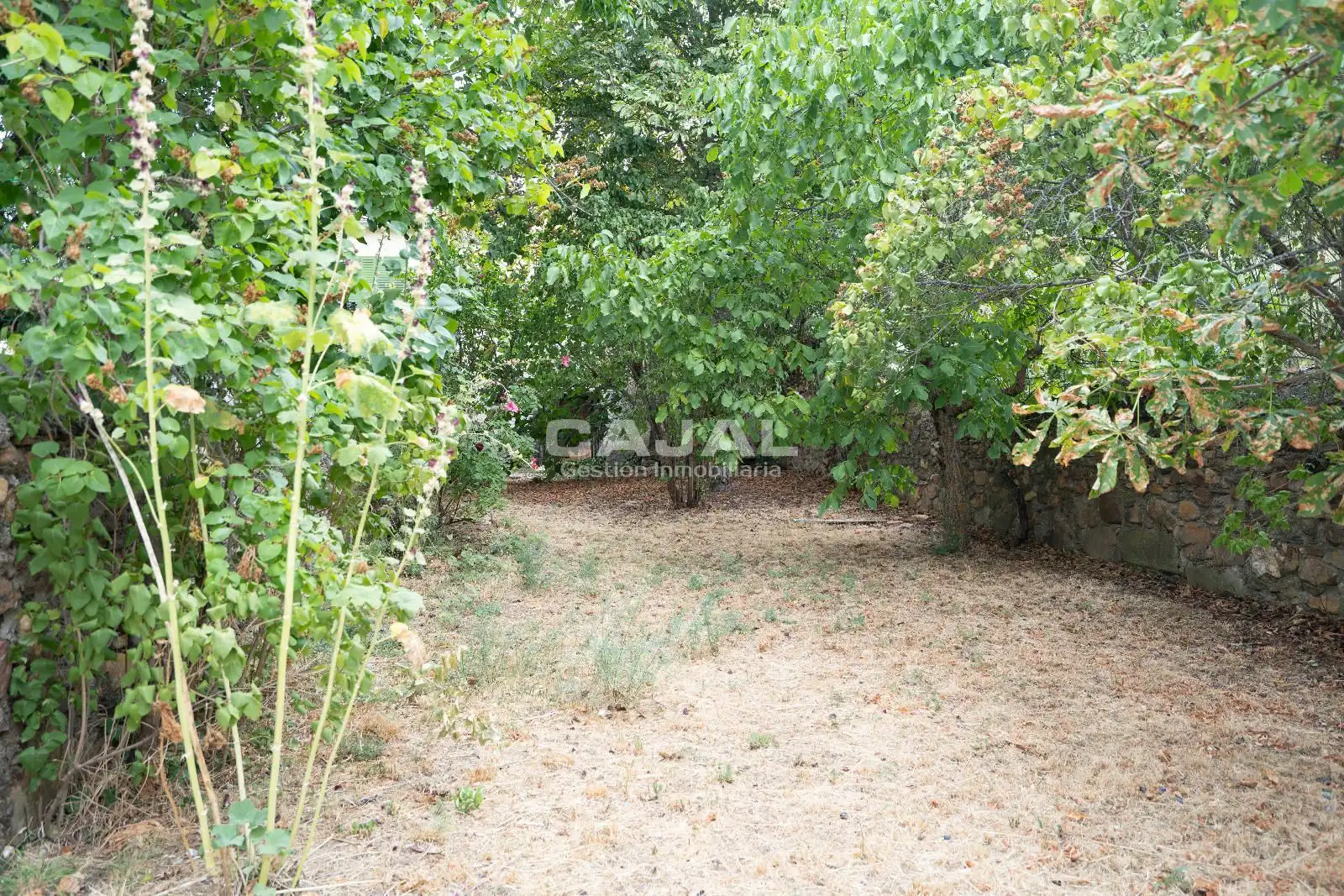 Land for sale in Riaza