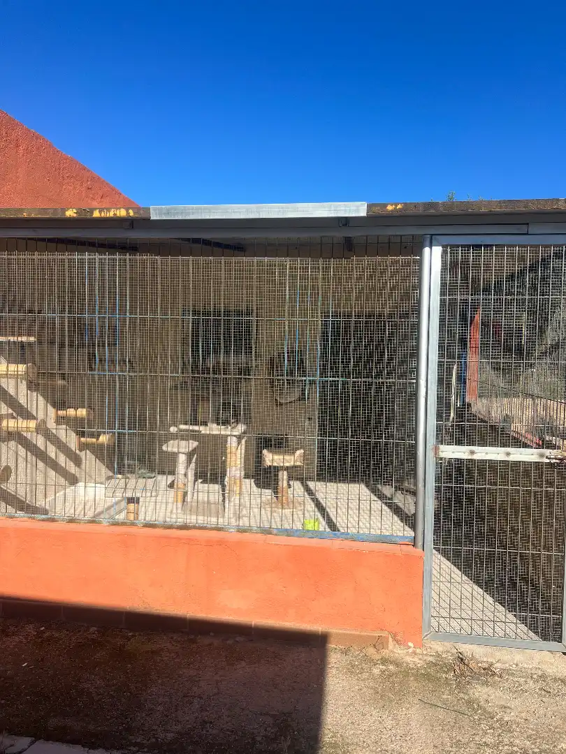 Vista exterior de Finca rústica en venta en Botarell con Jardín privado, Trastero y Amueblado