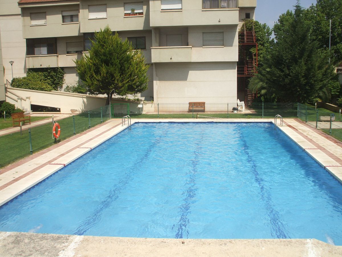 Swimming pool of Duplex for sale in Ciudad Real Capital