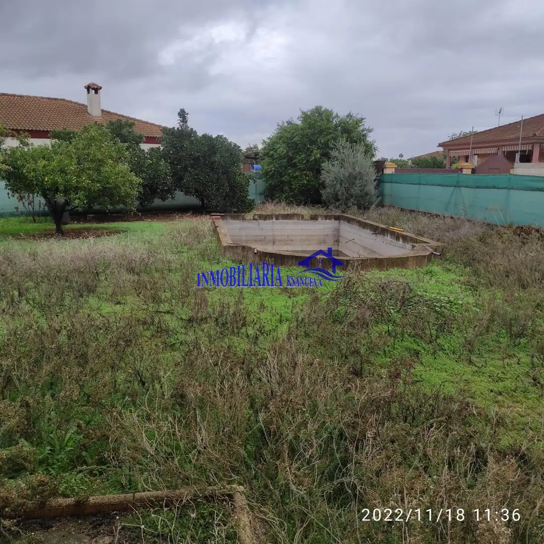 Villa con piscina in vendita a Periurbano Este - Campiña, imagen 15