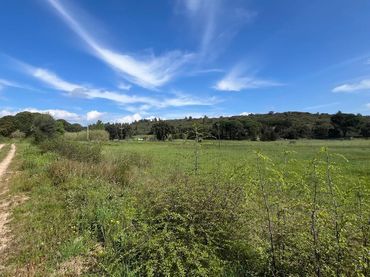 Terreno rustico in vendita a Sant Climent Sescebes