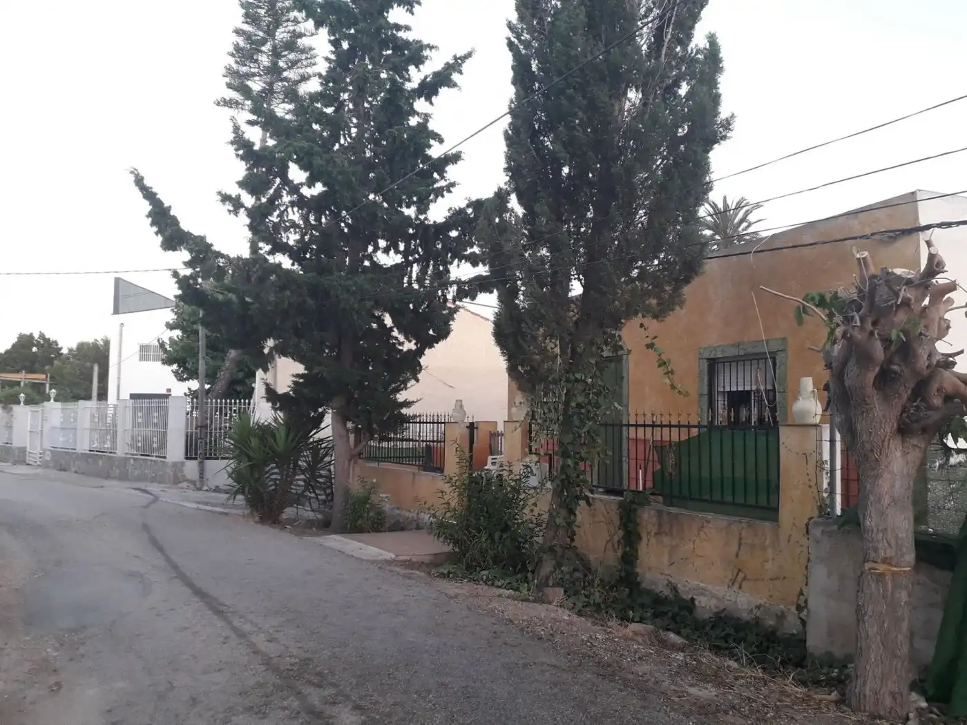 Terreno rústico en venta en Carretera catral, imagen 4