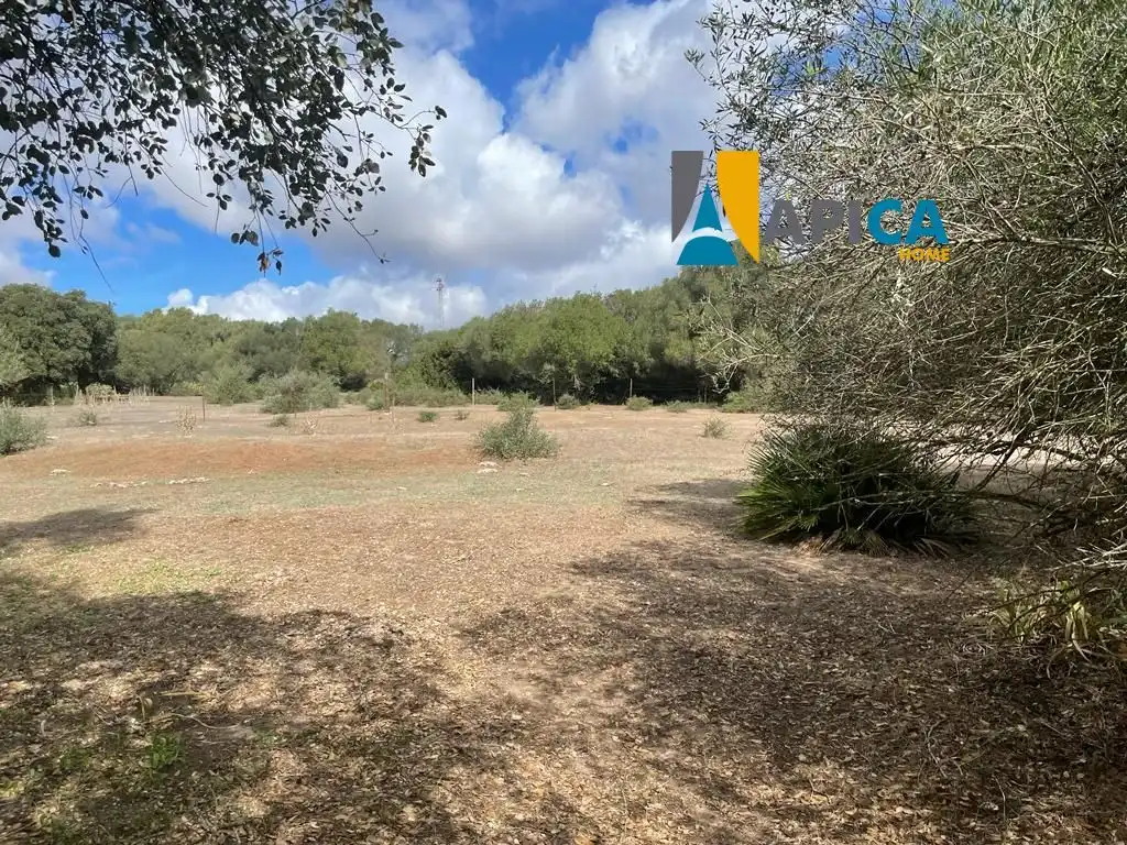 Terreni e lotti in vendita a Vejer, imagen 9