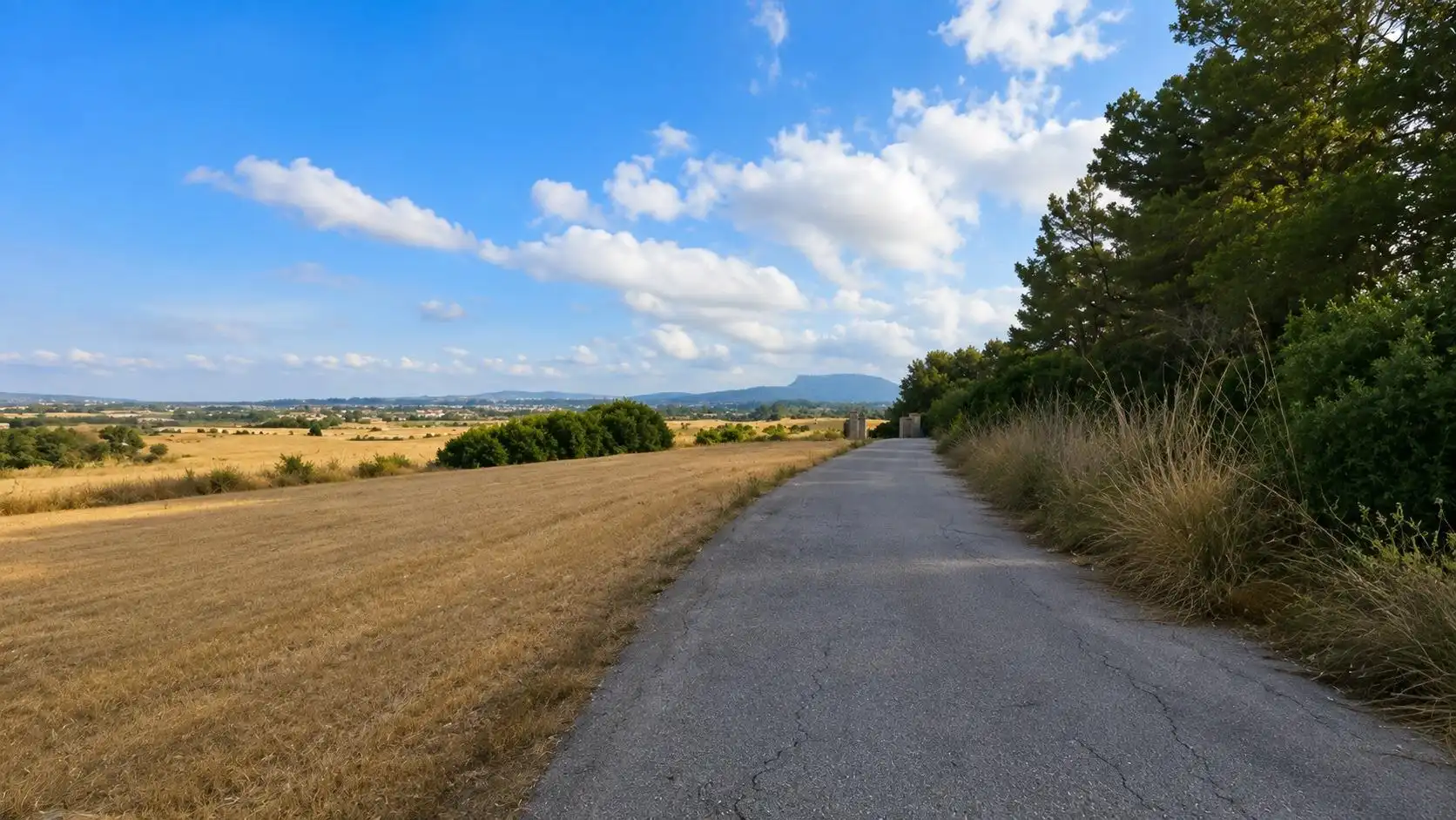 Terreni e lotti in vendita a Algaida, imagen 4