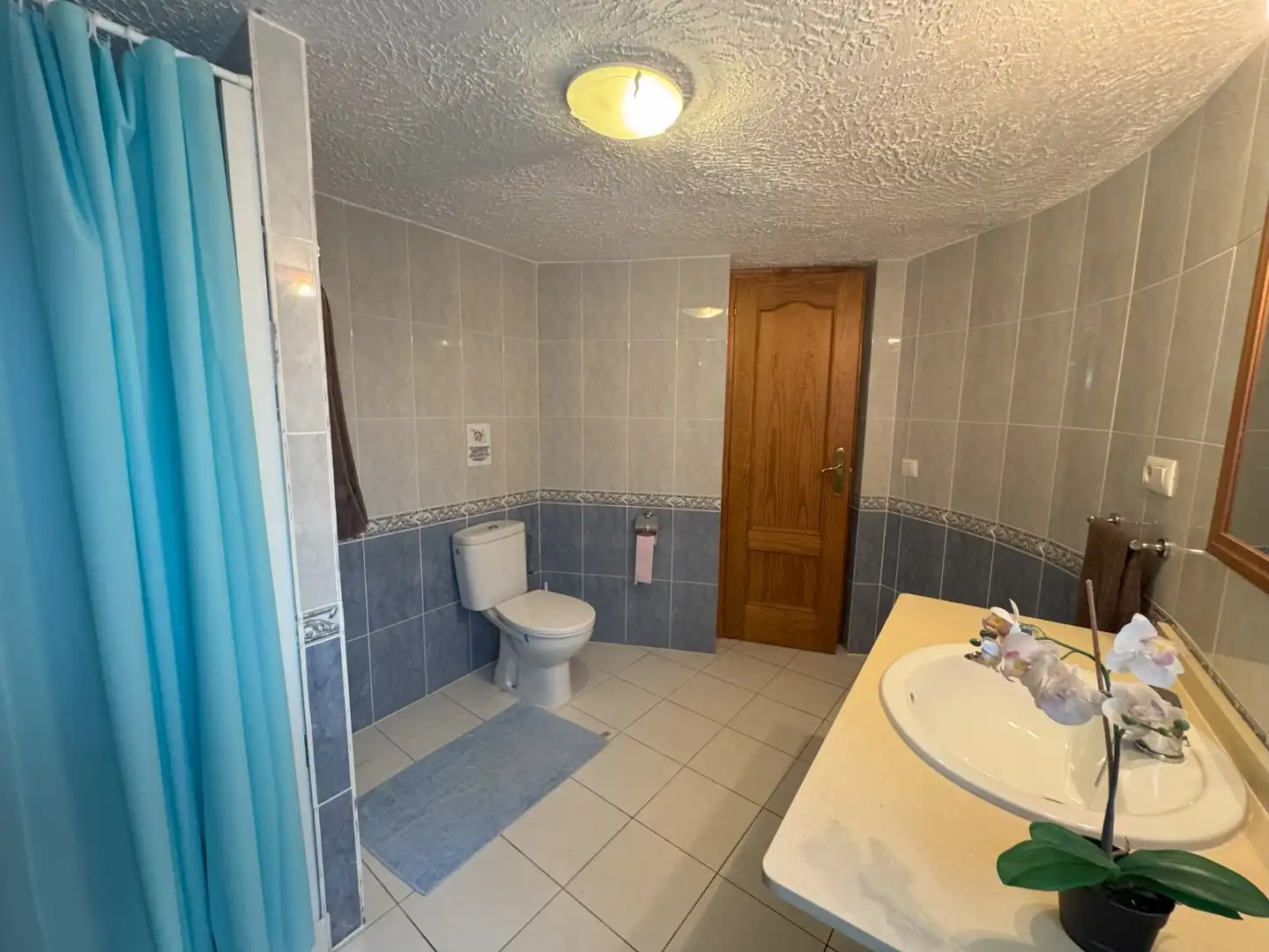 Chalet con piscina en venta en Maryvilla, imagen 13