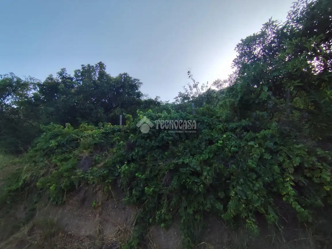 Terreno rustico in vendita a Los Guájares, imagen 23
