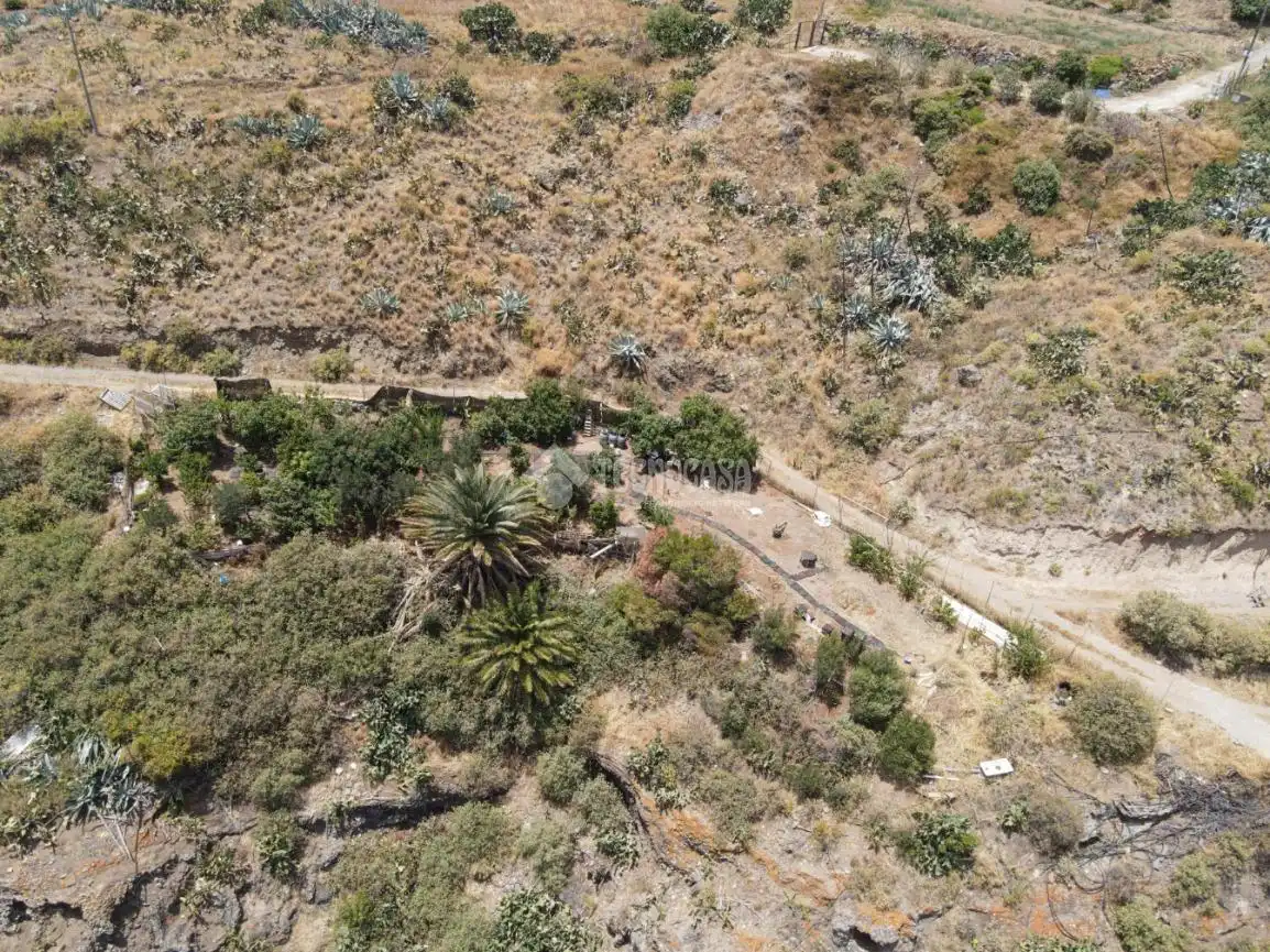 Terreny rústic en venda a Valsequillo de Gran Canaria, imagen 12